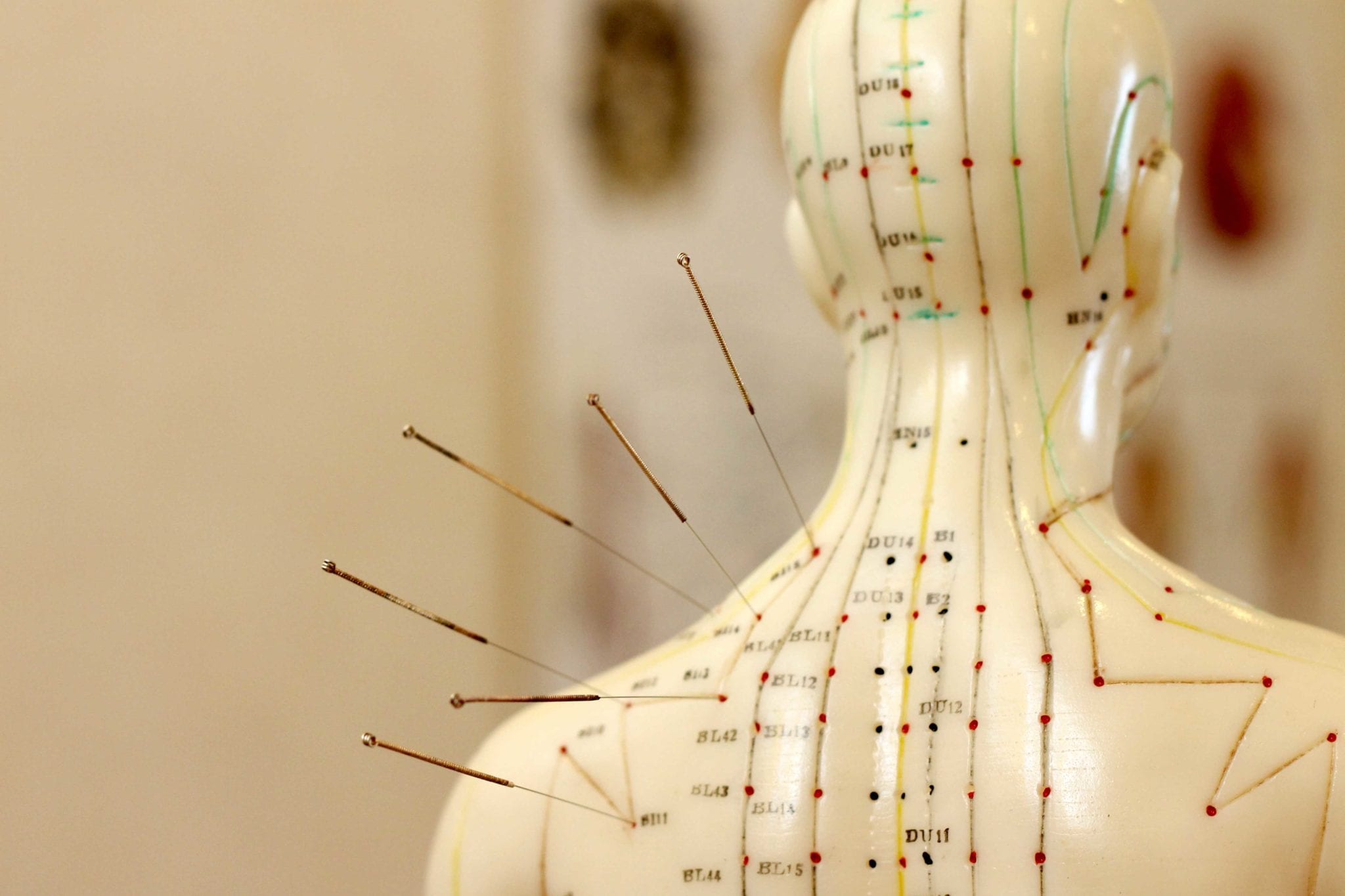 Acupuncture Chart and Meanings 2